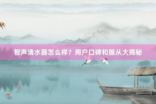智声清水器怎么样？用户口碑和服从大揭秘